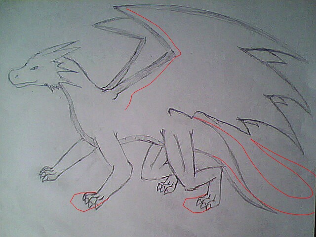 初次画龙全身图